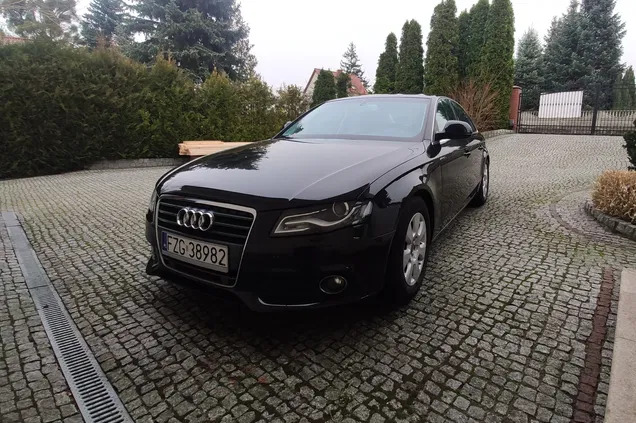 audi a4 małomice Audi A4 cena 25999 przebieg: 157016, rok produkcji 2008 z Małomice